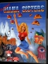 Commodore  Amiga  -  Great Giana Sisters